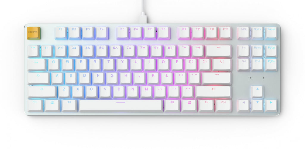 Glorious PC GMMK White Ice TKL RGB LED Double Shot ABS Mechanical Keyboard