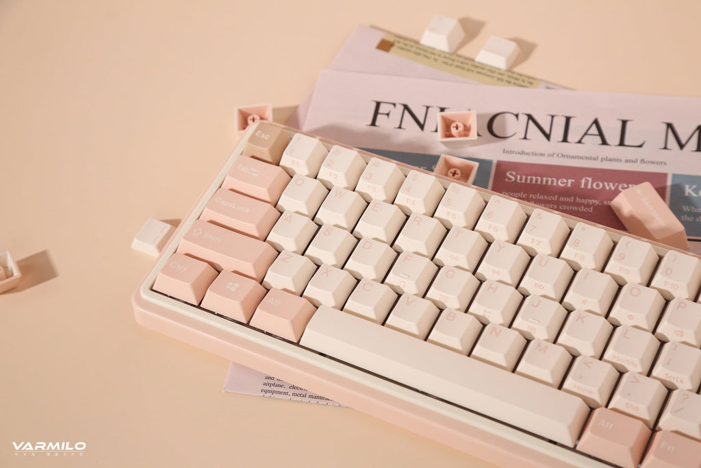 Varmilo Minilo VXT67 Mendozae 65% Hotswap Wireless RGB Keyboard