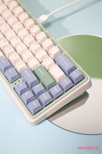 Varmilo Minilo VXT67 Eucalyptus 65% Hotswap Wireless RGB Mechanical Keyboard
