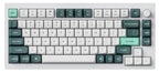 Keychron Q1 HE Aluminum 75% Hotswap Wireless RGB Mechanical Keyboard