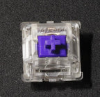 Zeal PC Purple Zealios V2 Tactile Switch